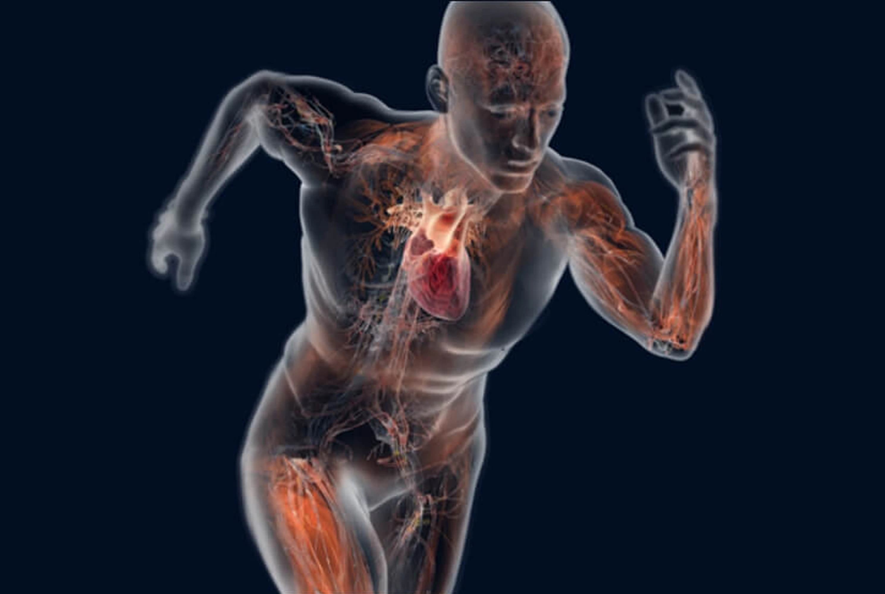 Evaluate Movements